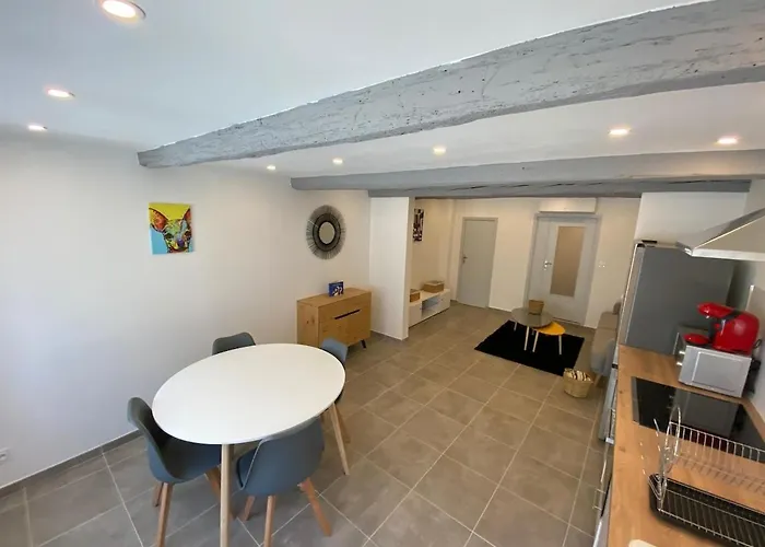 Superbe Climatise Avec Patio * Montpellier